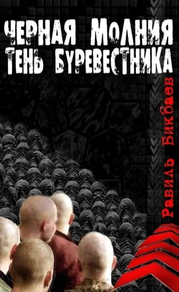 Черная молния. Тень буревестника