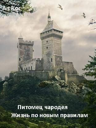 Питомец чародея. Жизнь по новым правилам. Книга 2 (СИ)