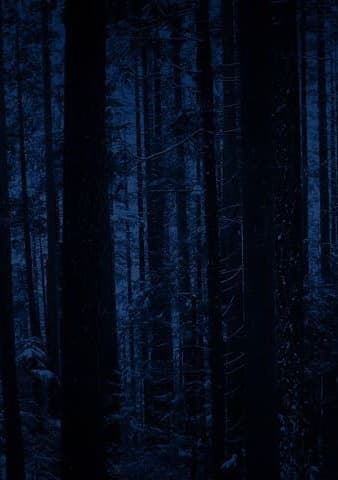 Nacht (СИ)