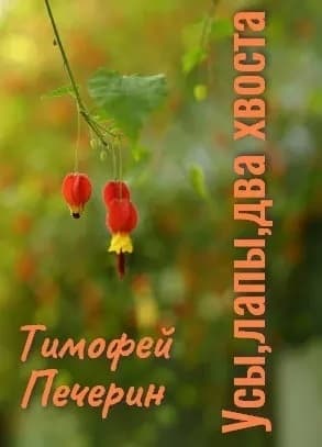 Усы, лапы, два хвоста (СИ)