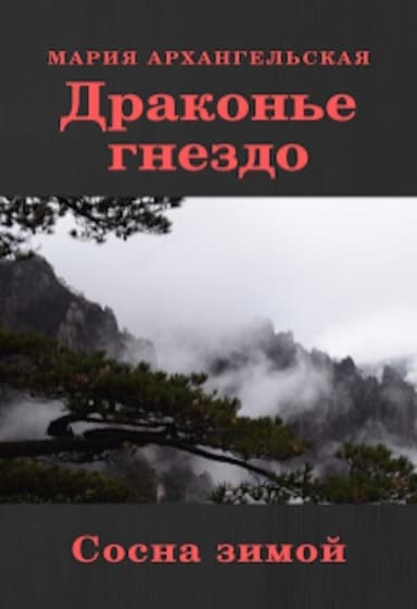 Сосна зимой