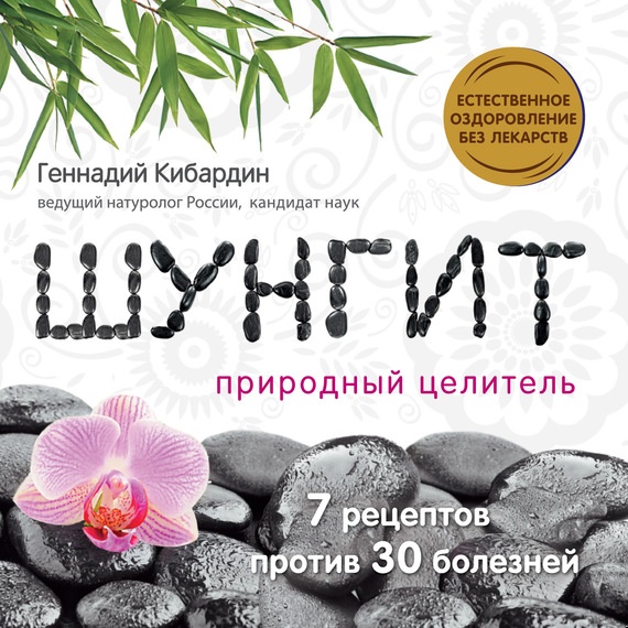 Шунгит: Природный целитель