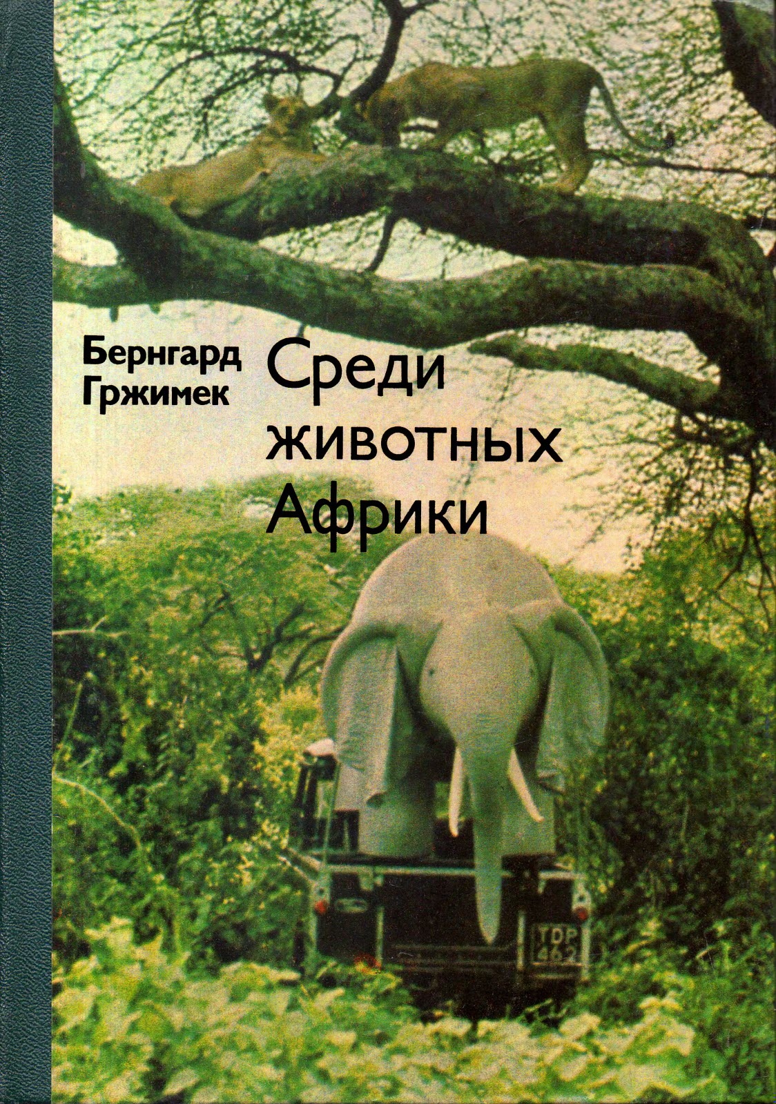 Среди животных Африки