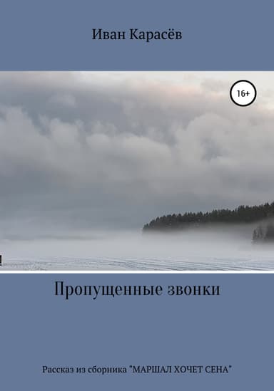 Пропущенные звонки. Рассказ из сборника «Маршал хочет сена»