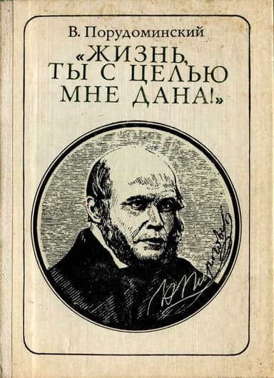 "Жизнь, ты с целью мне дана!" (Пирогов) (очерк)