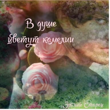 В душе цветут камелии (СИ)