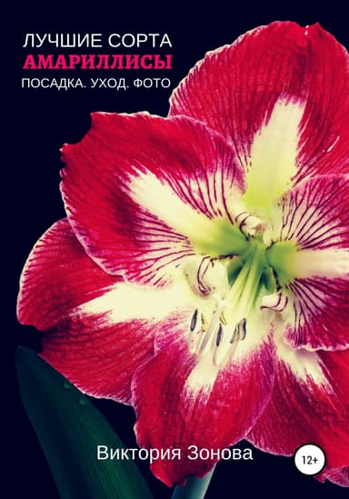 Амариллисы. Лучшие сорта