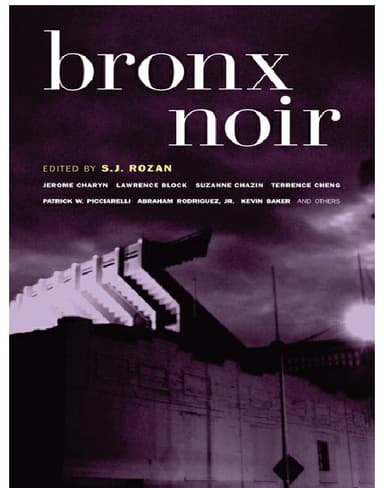 Bronx Noir