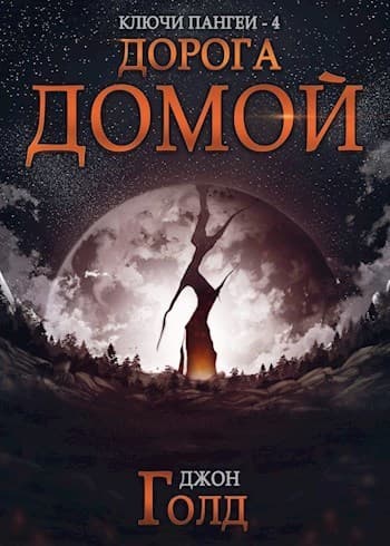 Дорога домой (СИ)