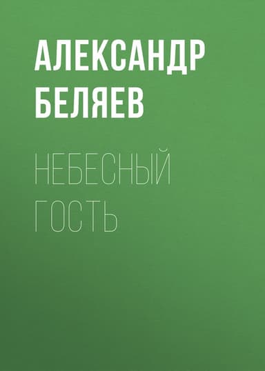 Небесный гость (Сборник)