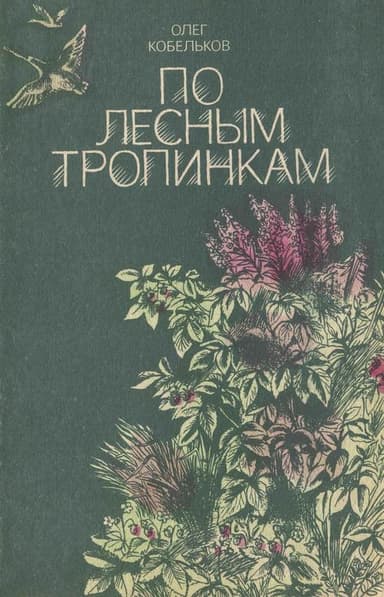 По лесным тропинкам