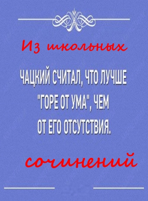 Из школьных  сочинений