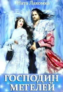 Господин метелей (СИ)