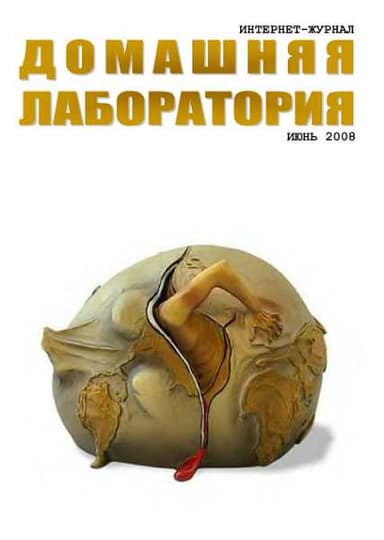 Интернет-журнал "Домашняя лаборатория", 2008 №6