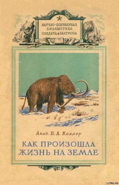 Как произошла жизнь на земле