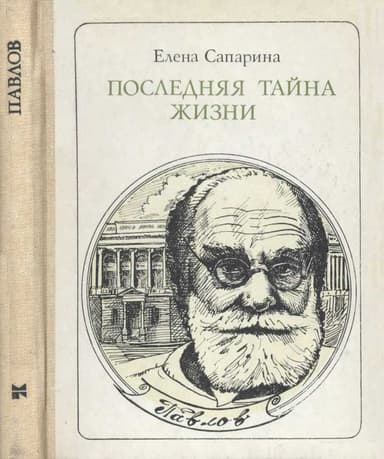 Последняя тайна жизни (Этюды о творчестве)
