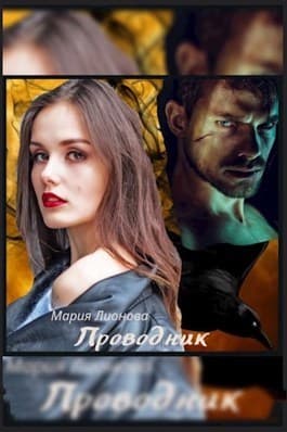 Проводник (СИ)