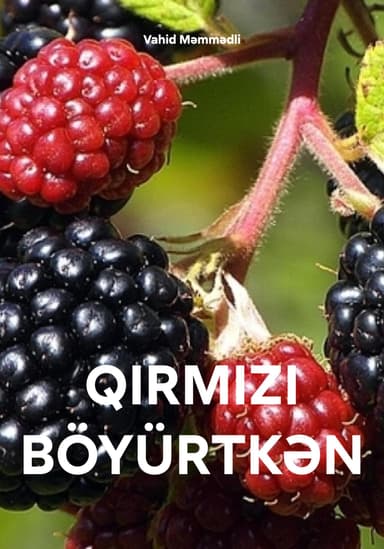 QIRMIZI BOYURTK?N