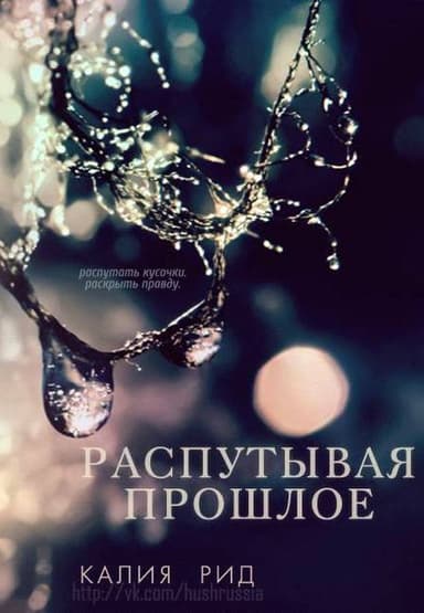 Распутывая прошлое (ЛП)