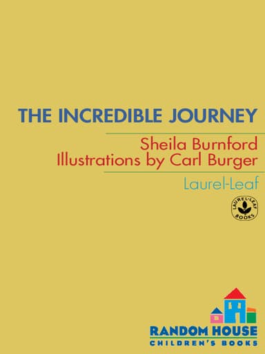 The Incredible Journey