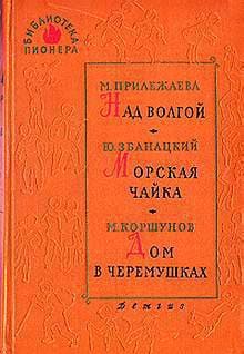 В зимнем городе