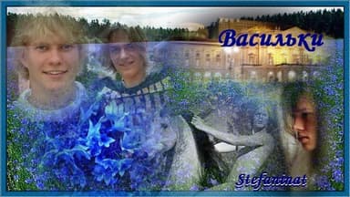 Васильки (СИ)