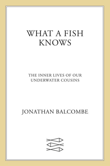 What a Fish Knows