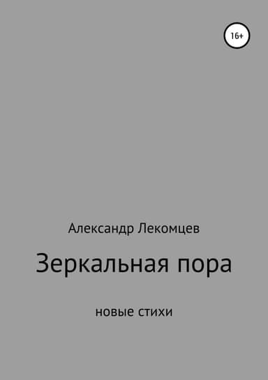 Зеркальная пора